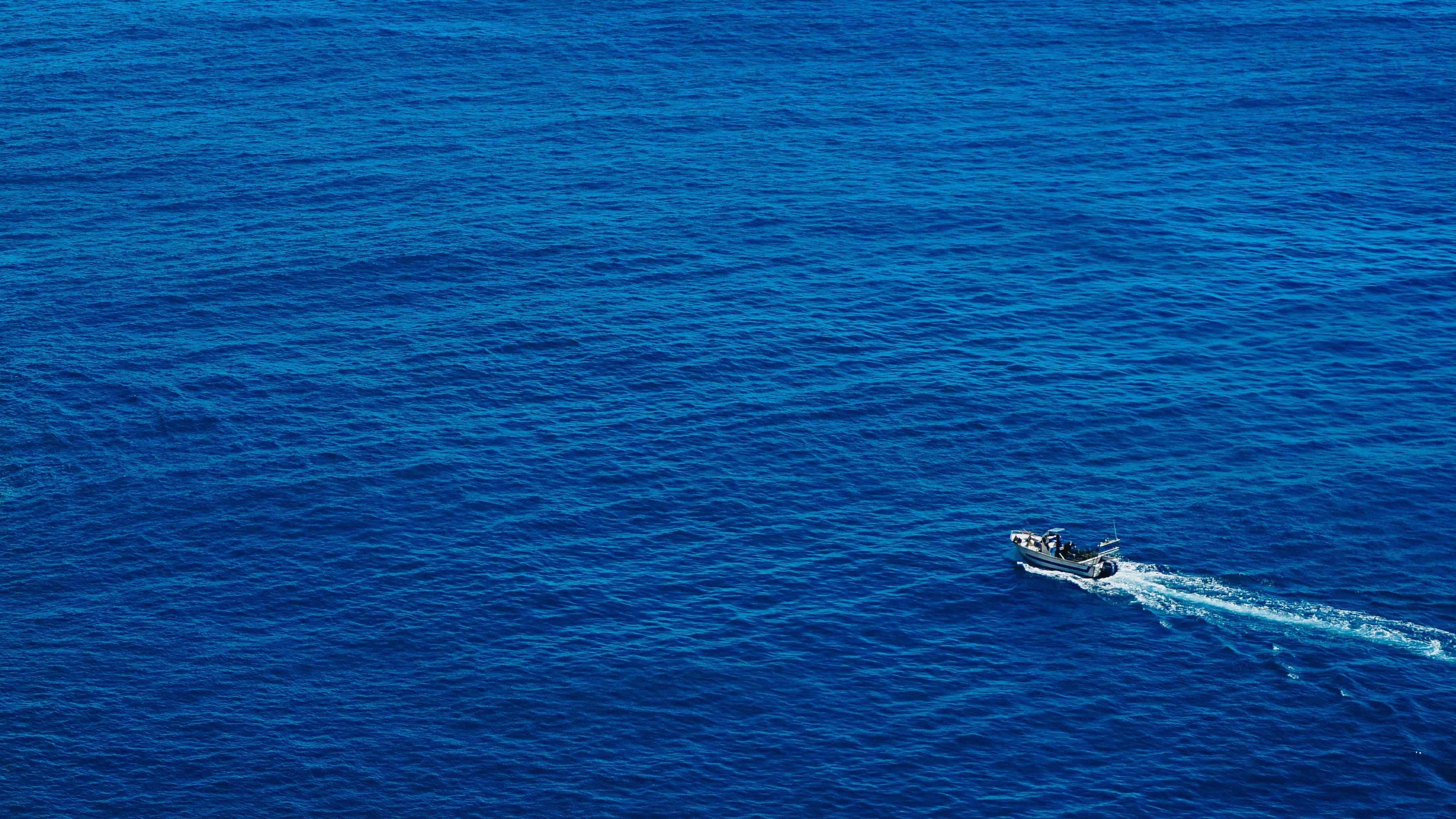 collection-banner-image